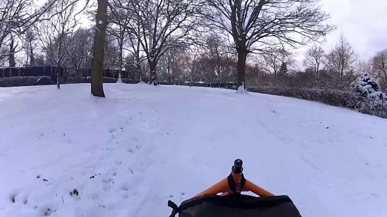 Snow in Regents Park, London