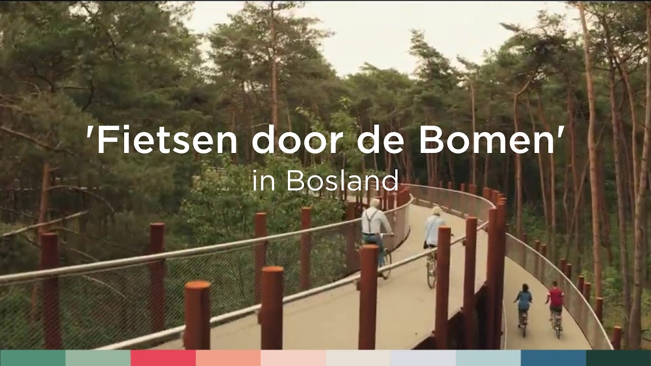 ‘Fietsen door de Bomen’ in Bosland | Visit Limburg