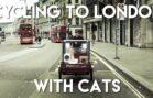 Cycling to London With Cats