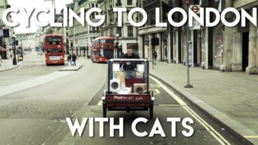 Cycling to London With Cats