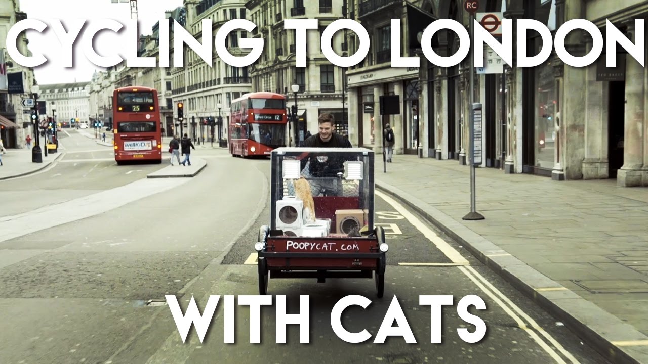 Cycling to London With Cats